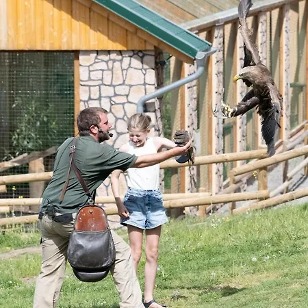 Der Eifel Perle Apartment *
