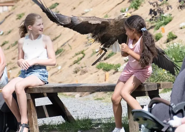 アパート Der Eifel Perle