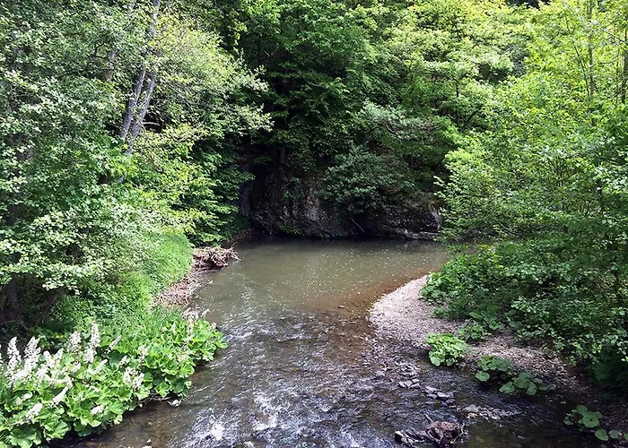 Der Eifel Perle アパート マンダーシャイト